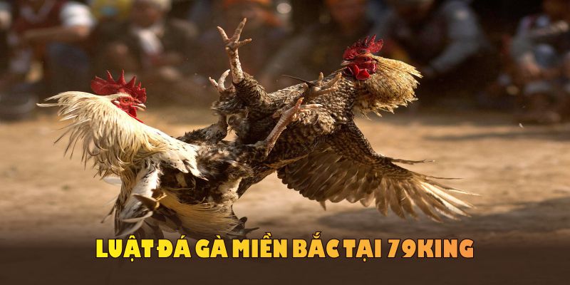 luật đá gà miền Bắc